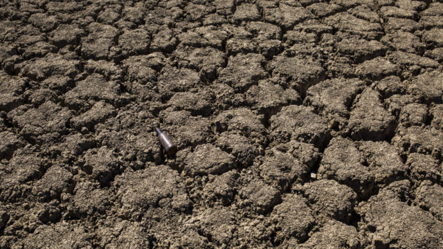 Five years of thirst: South Africa's Eastern Cape battles brutal ...