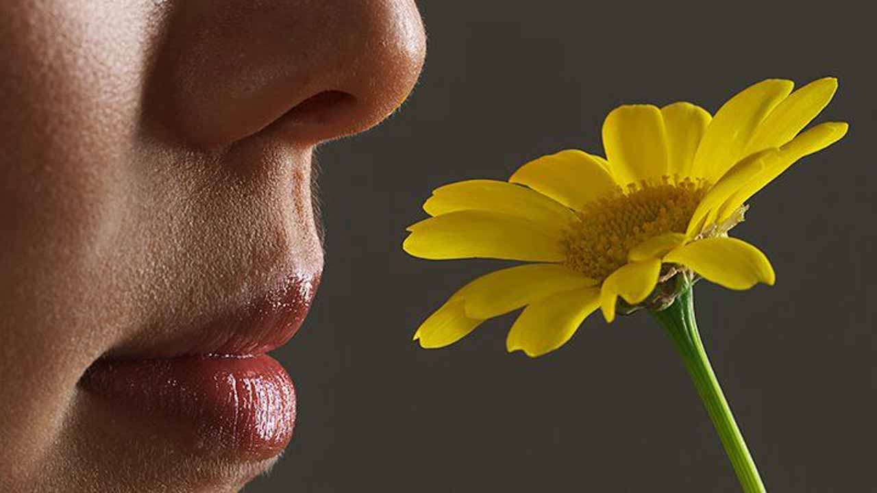 Why People Who Lose Their Sense Of Smell Are At Risk Of Dying 