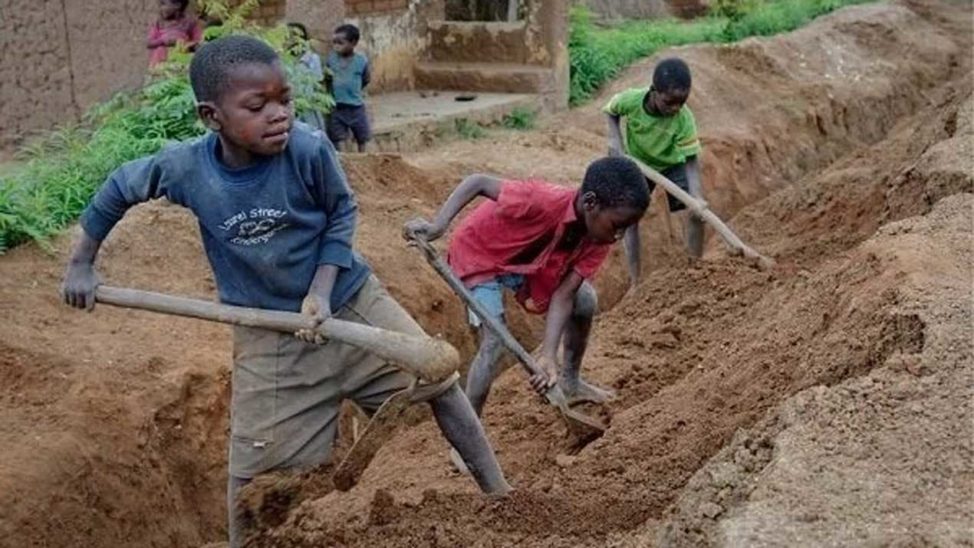 Protect the future, eliminate child labour — Opinion — The Guardian ...