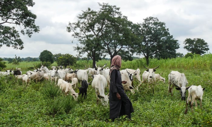 Suspected herders kill five in renewed attack in Benue | The Guardian Nigeria News - Nigeria and World News