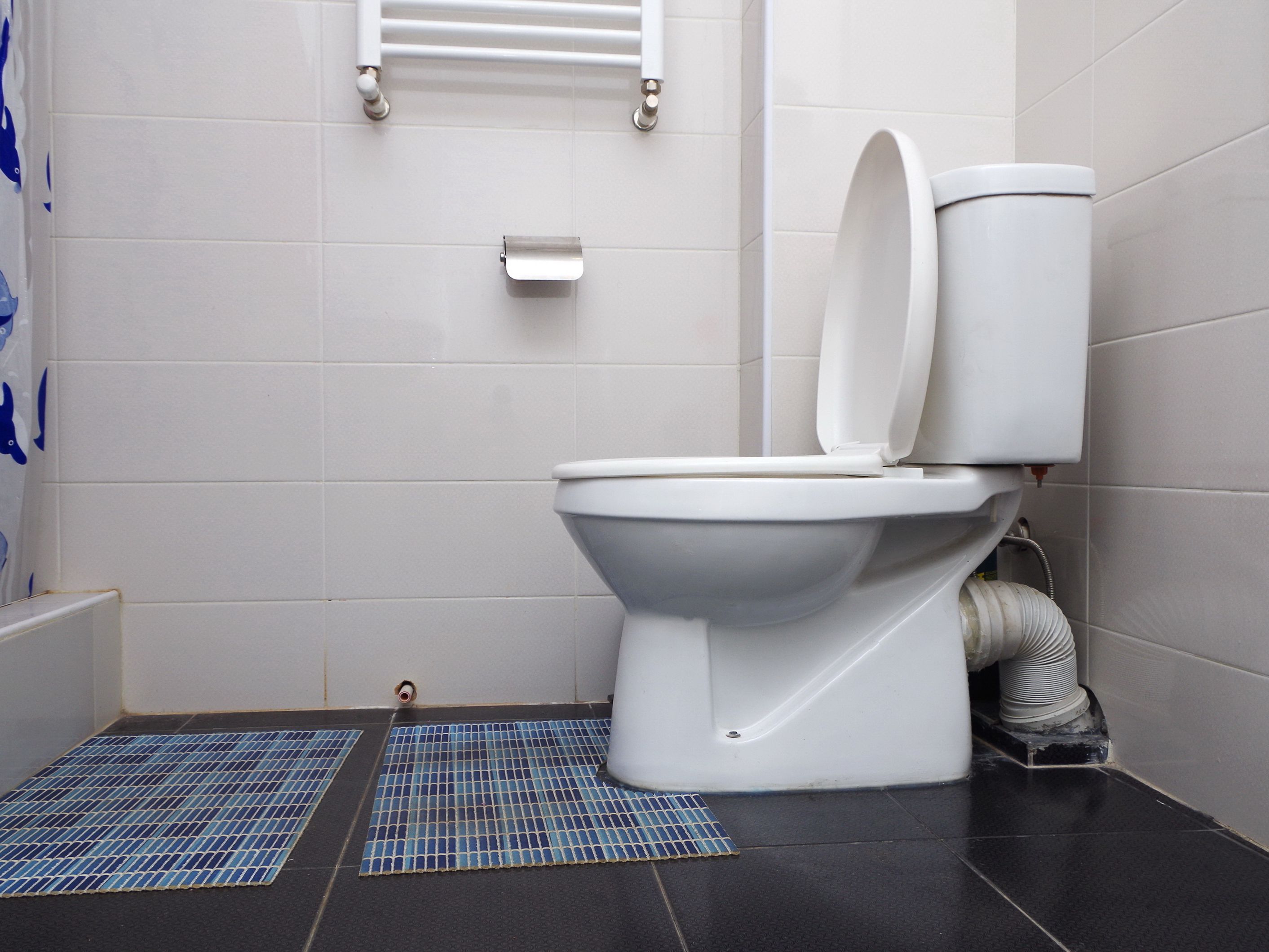 A smart toilet could identify you by your 'analprint' and detect