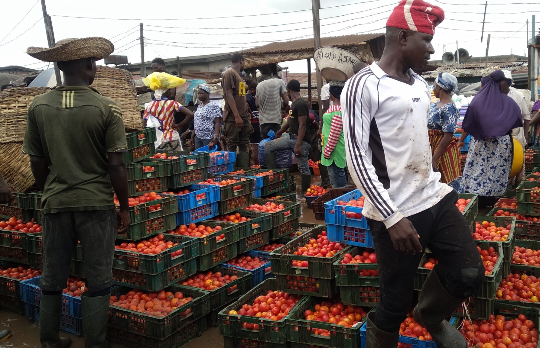 Impact of Covid-19 on nutrition and food shortages in Nigeria | The  Guardian Nigeria News - Nigeria and World News — Features — The Guardian  Nigeria News – Nigeria and World News