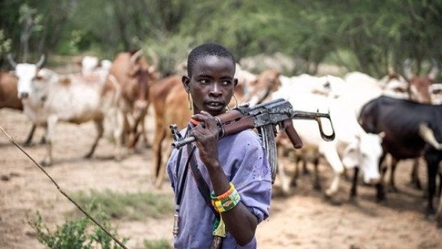 Are Fulani herdsmen overrated? — Opinion — The Guardian Nigeria News – Nigeria and World News