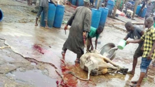 Lagos butchers lament as daily slaughter drops by 40%