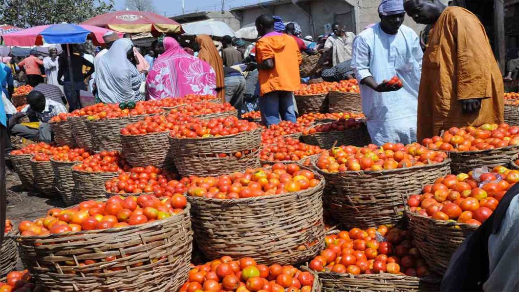 The prices of baskets of tomatoes and pepper have dropped in Lagos State