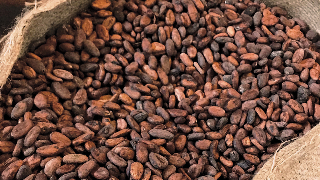 'How Nigeria's cocoa revenue can hit $1.1b in five years ...