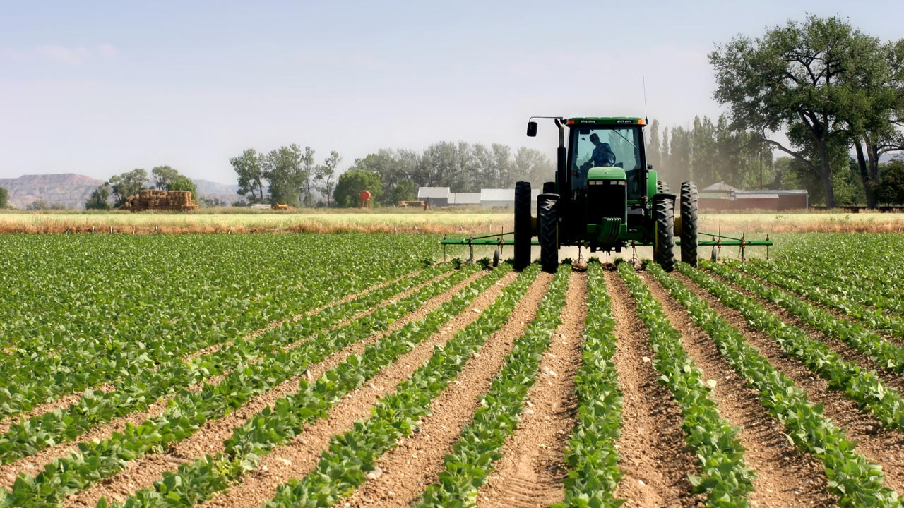 https://guardian.ng/wp-content/uploads/2020/09/agriculture-sector.jpg