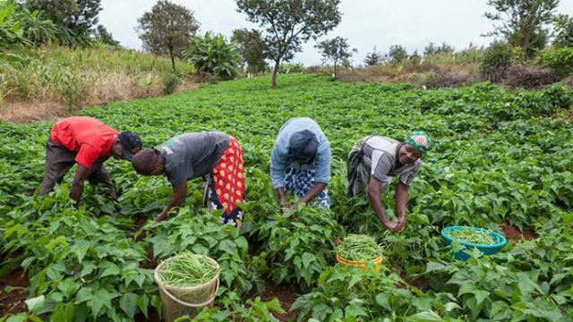 Emir of Gombe urges farmers, herders to eschew violence