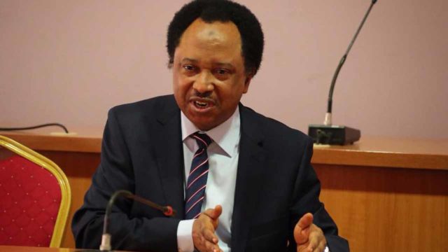 APC has failed, shouldn’t be allowed to determine Buhari’s successor – Shehu Sani