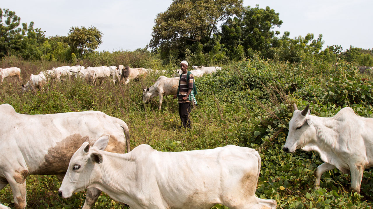 Herders