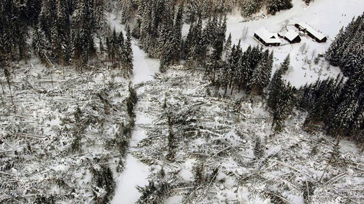 Photo of Dva stĺpy zabité v lavíne na Slovensku  The Guardian Nigeria News