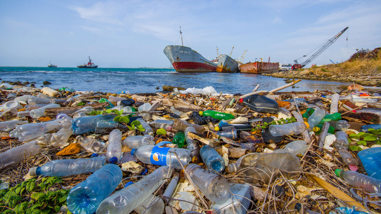 UN To Tackle Marine Plastic Pollution The Guardian Nigeria News 