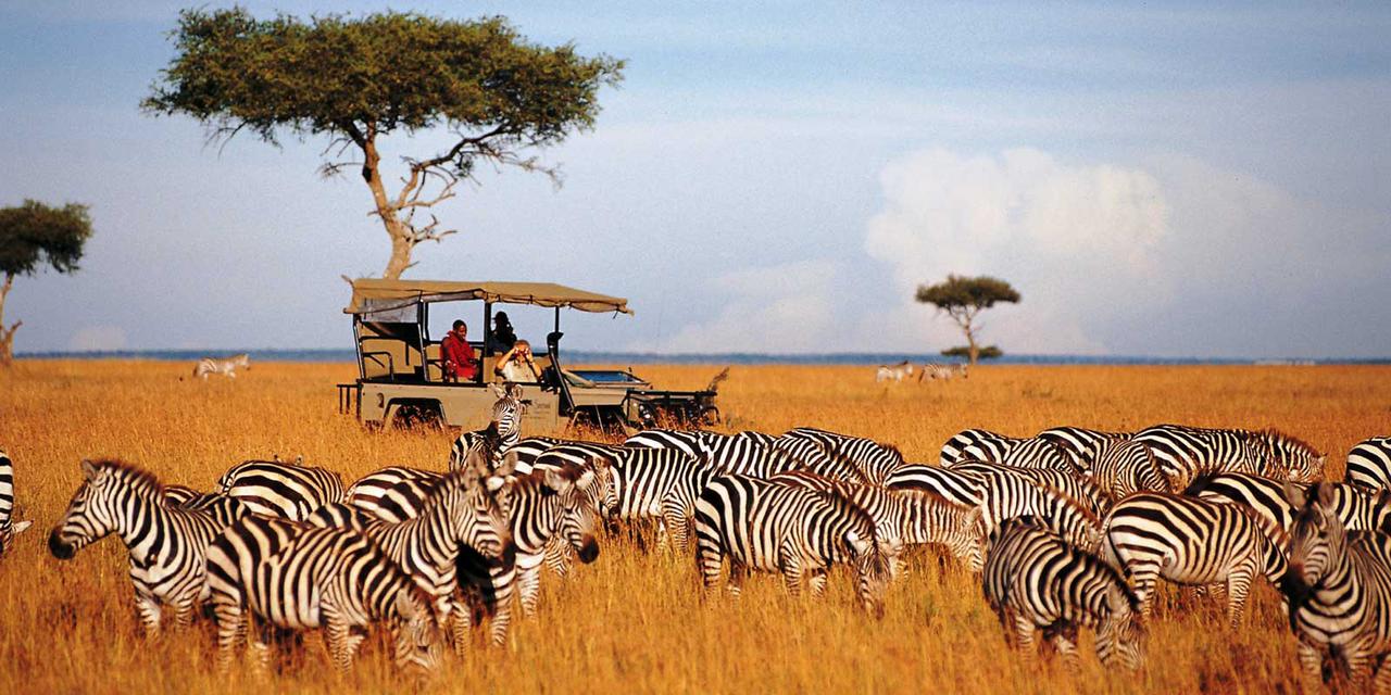 How we planned our 3-day Maasai Mara Safari from Nigeria | The Guardian  Nigeria News - Nigeria and World News — News — The Guardian Nigeria News –  Nigeria and World News