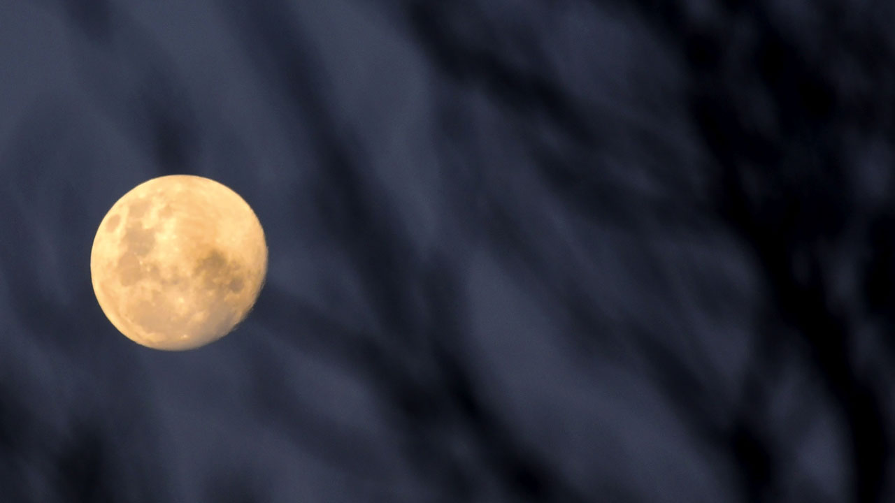 Pacific readies for 'Super Blood Moon' celestial show — World — The ...