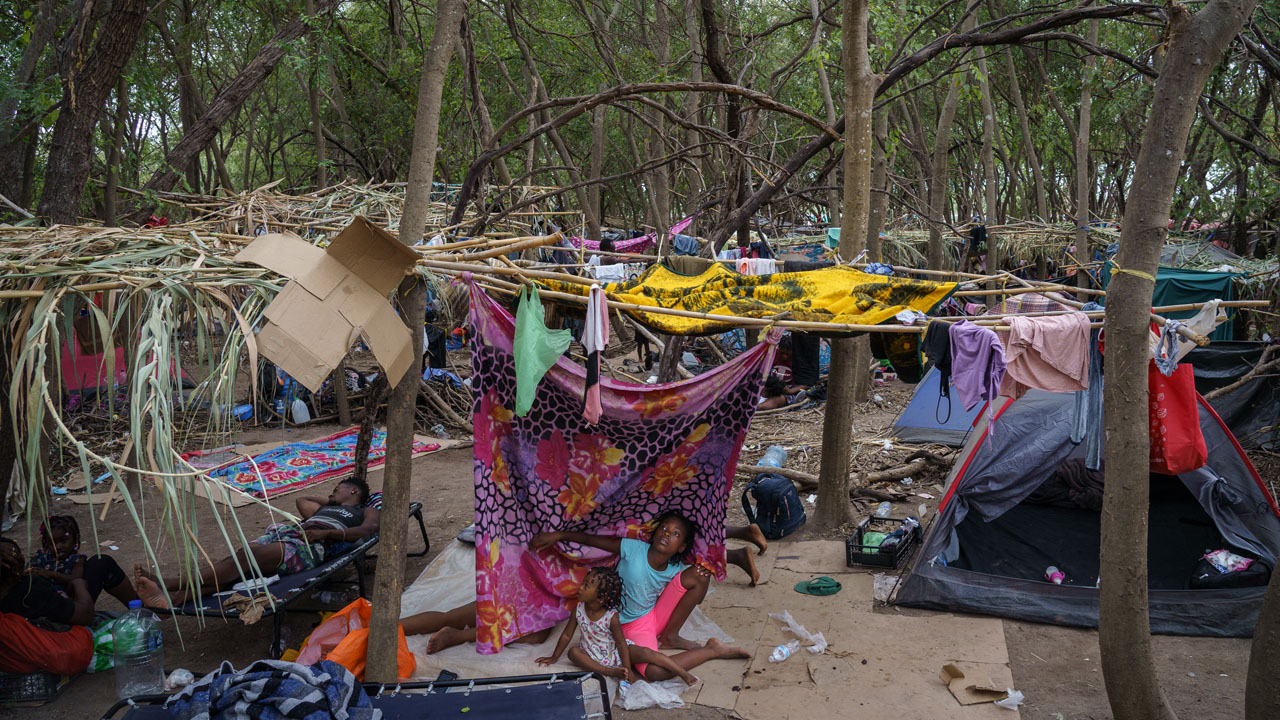 UN warns US deportations of Haitians may violate international law | The Guardian Nigeria News