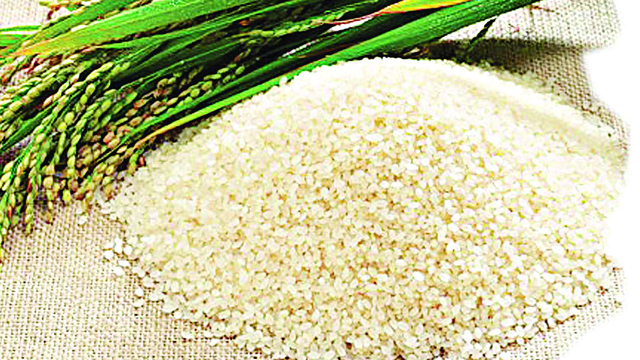 Rice Rainstorm: RIFAN loses N30.4m paddy rice, fertilisers in Delta | The Guardian Nigeria News