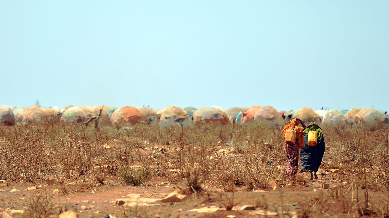 20 million risk starvation as Horn of Africa drought worsens: UN | The ...