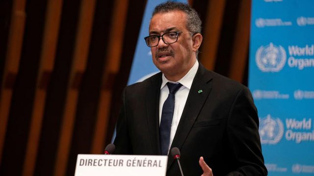 WHO convenes first high-level global summit on traditional medicine | The Guardian Nigeria News