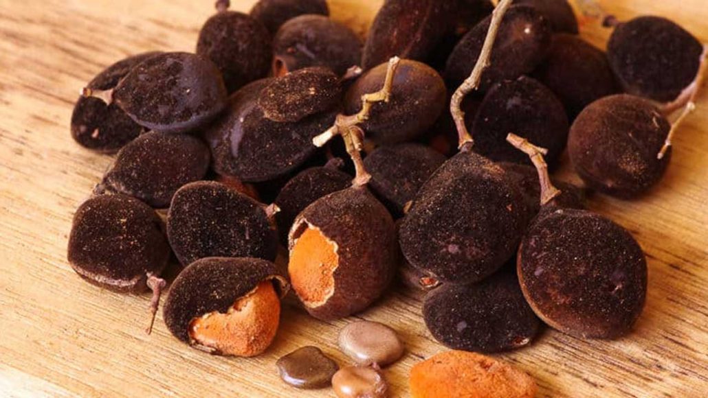 Velvet Tamarind: Maximising potentials of A magic plant | The Guardian ...