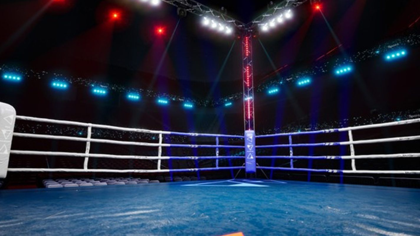 Two Anambra boxers victorious at ‘King Of The Ring 2’ — Sport — The ...