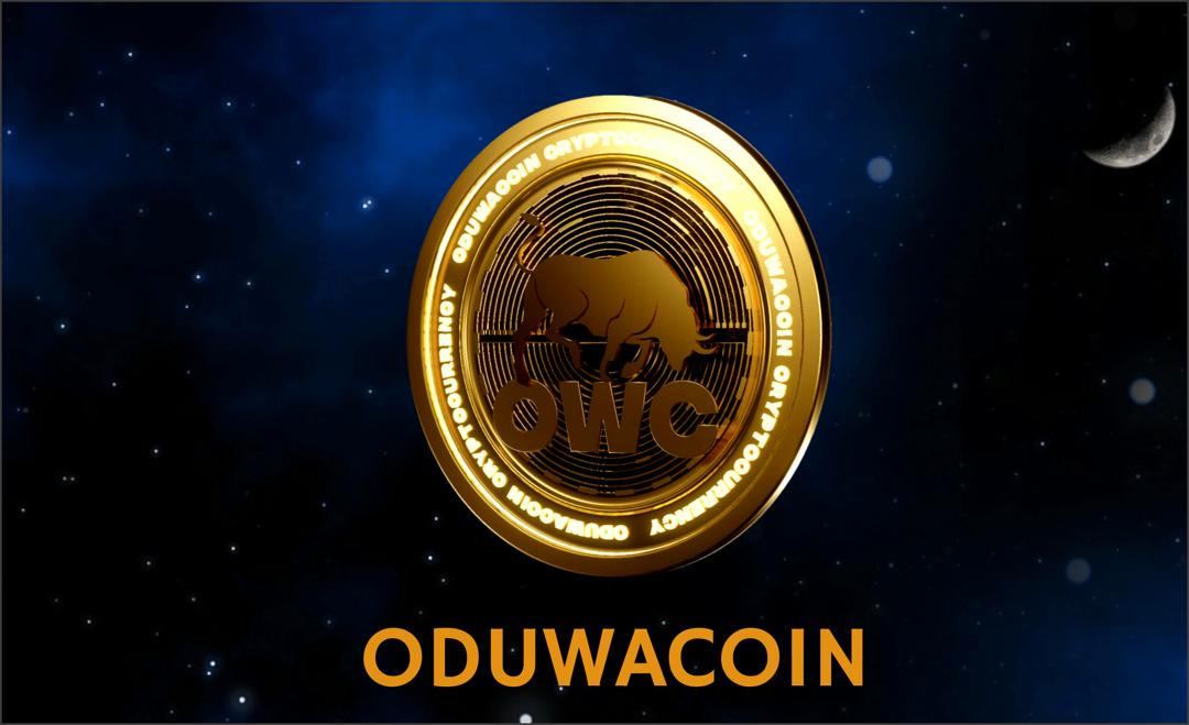 The origins of Oduwacoin the first Pan African cryptocurrency