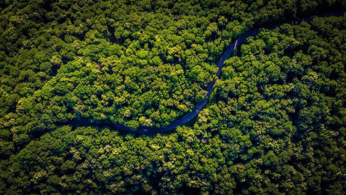 Brazil begins first operations to protect