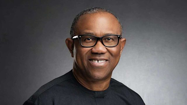 Anya-Ndi-Igbo endorses Obi for president | The Guardian Nigeria News -  Nigeria and World News — Nigeria — The Guardian Nigeria News – Nigeria and  World News