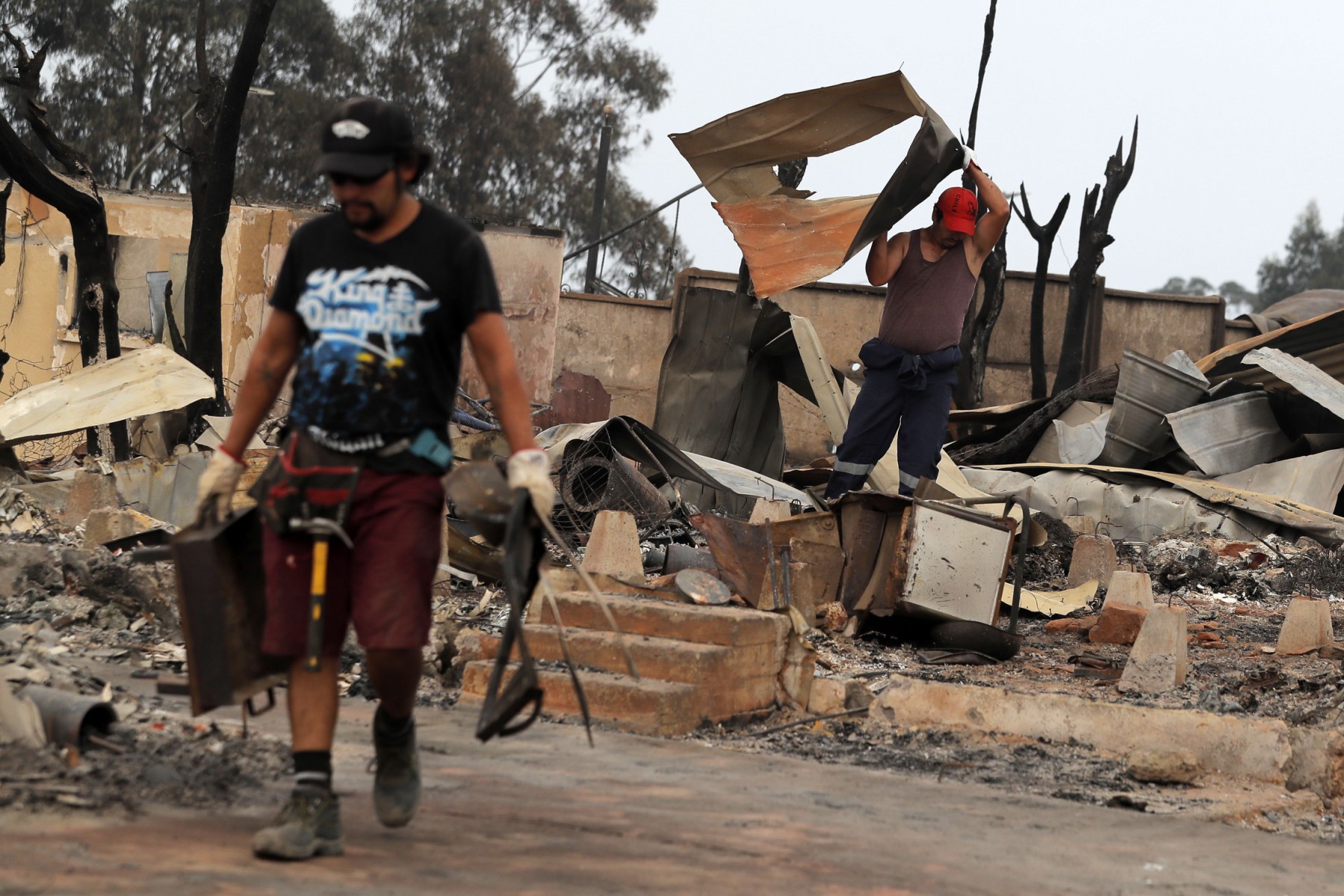 El número de muertos por incendios forestales en Chile aumenta a 23 |  Noticias del guardián nigeriano