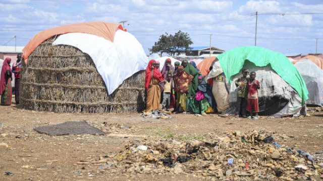 Somalia: lives and livelihoods of millions still at risk, Food and ...