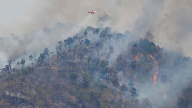 Thai firefighters battle forest blaze — World — The Guardian Nigeria ...