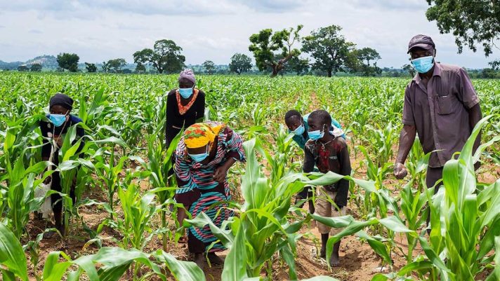 Nestle trains 100,000 farmers in one year | The Guardian Nigeria News ...