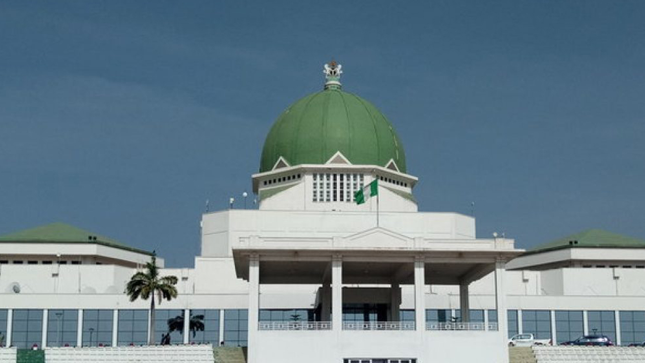 Counting cost of poor female representation as 10th NASS begins ...