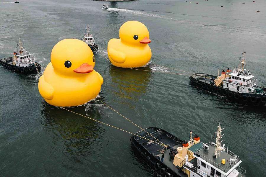 Hong Kong welcomes back its favorite giant rubber ducks after 10 years 