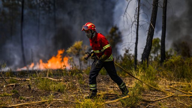 Portugal combate incêndios florestais num calor sufocante |  Notícias do Guardião Nigeriano