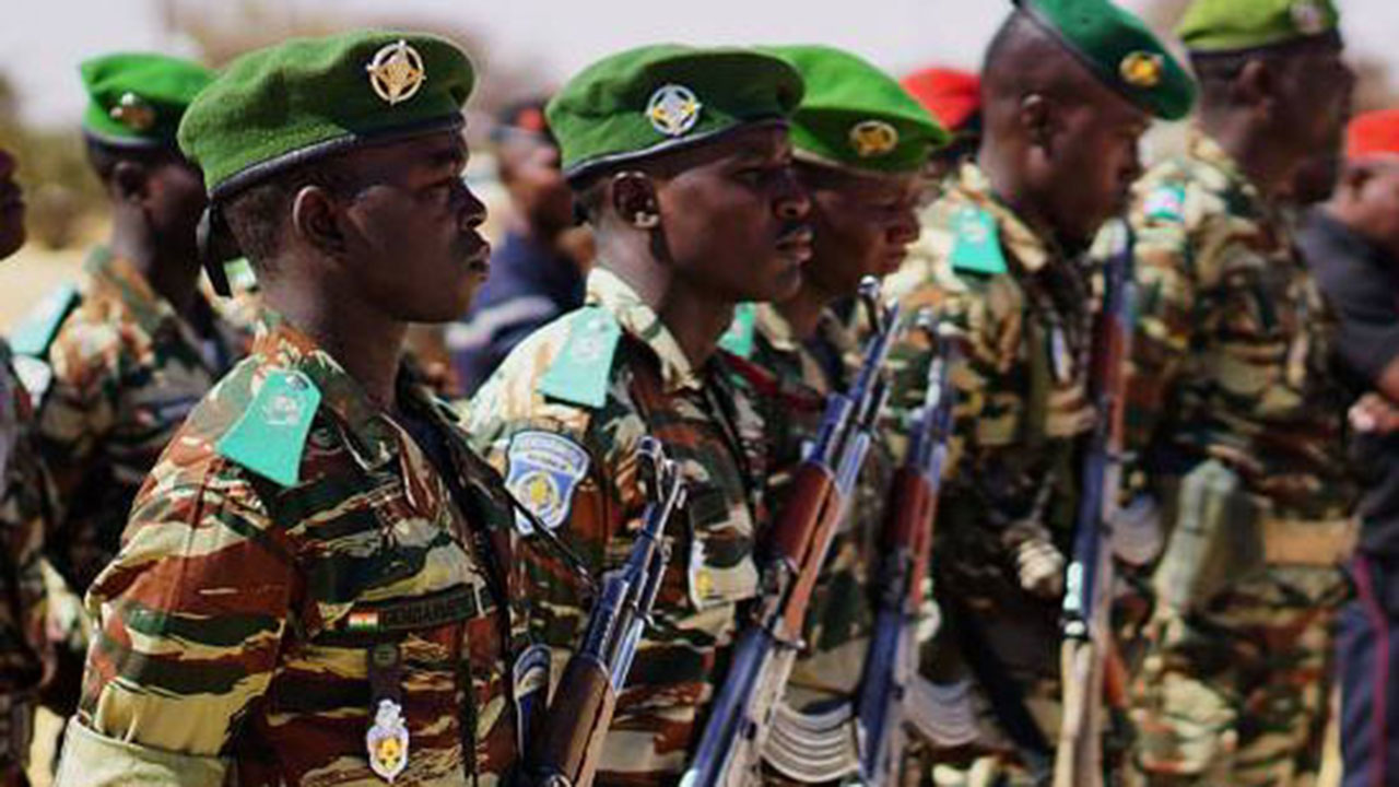 Political realism: Guarding the presidential guards | The Guardian ...