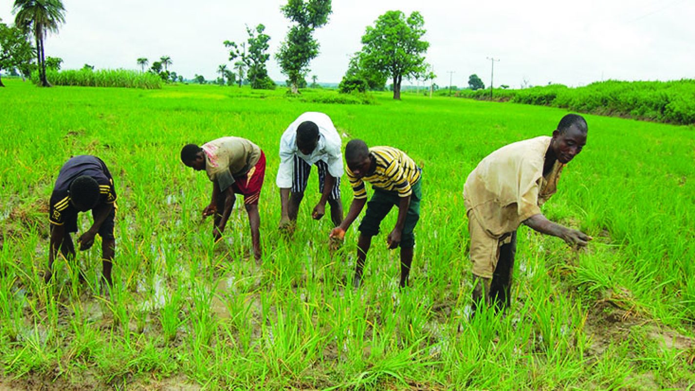 oxfam News — Latest On Oxfam — — The Guardian Nigeria News – Nigeria ...