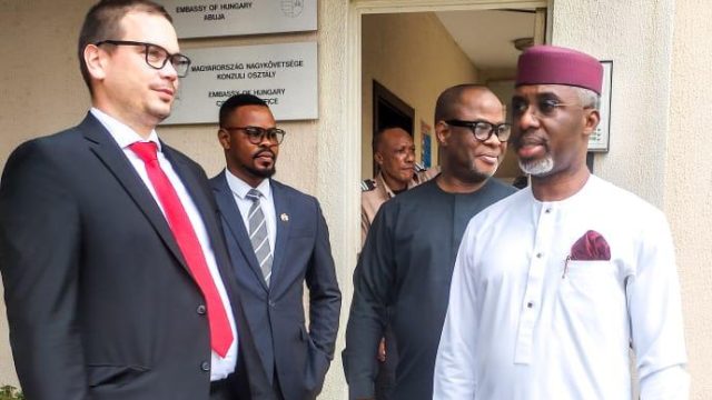 Nwosu, az APC elnöke elismerését fejezi ki Magyarországnak a nigériaiak számára nyújtott ösztöndíjakért |  The Guardian Nigeria News