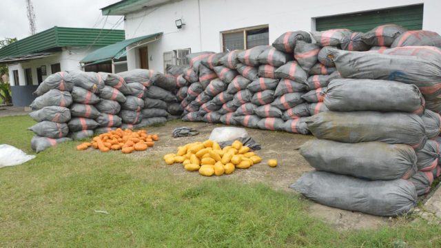 Customs Hands Over N699 5m Seized Hard Drugs To Ndlea The Guardian