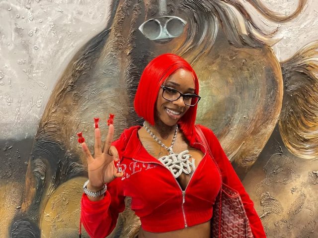 Rapper Sexxy Red Denies Leaking Her Own Sex Tape — Guardian Life — The