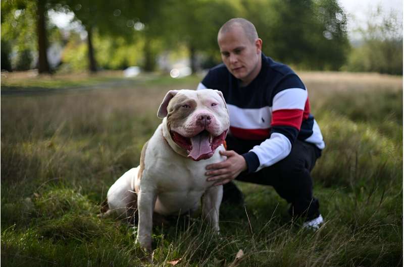 UK government urged to tackle 'killer' XL bully dogs — World — The