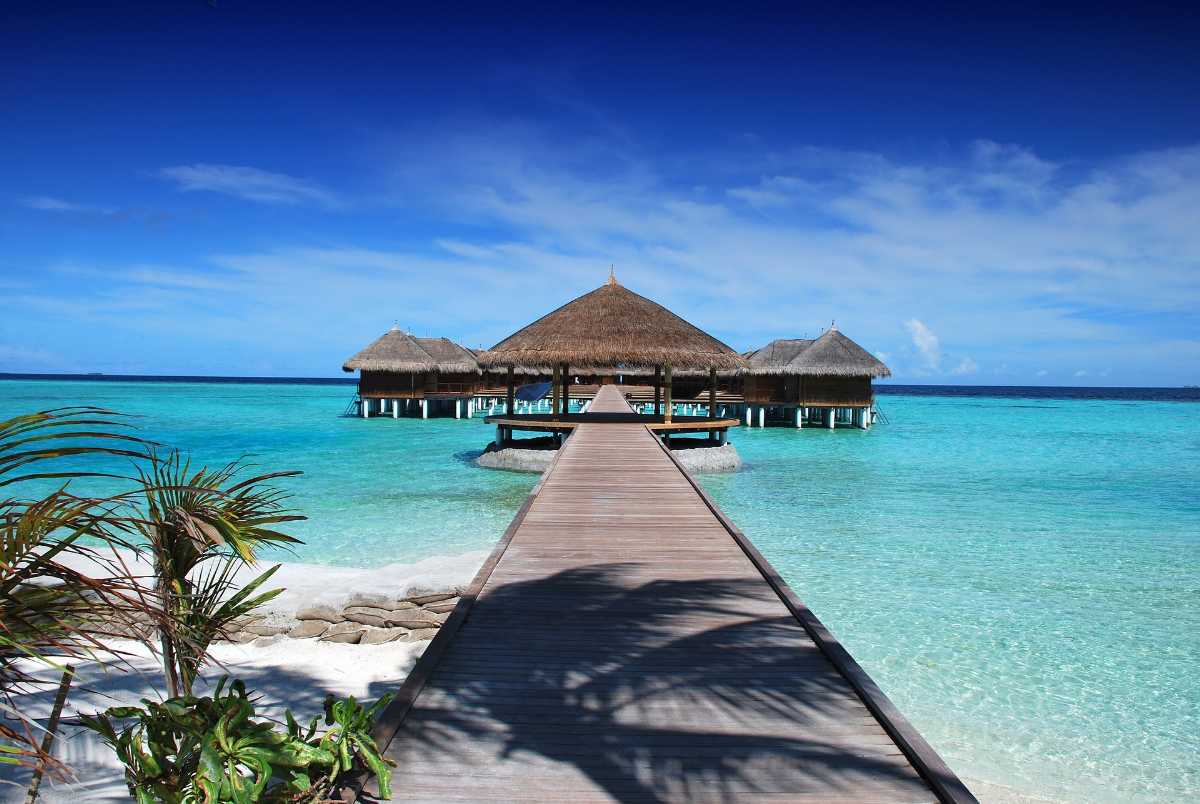 A stunning image of the Maldives, a tropical island destination.