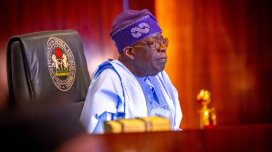 President Bola Tinubu appoints lead developer for Nigeria's green industial zone