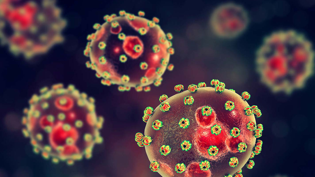 Panic in Lokoja over possible Lassa fever outbreak - Guardian Nigeria News