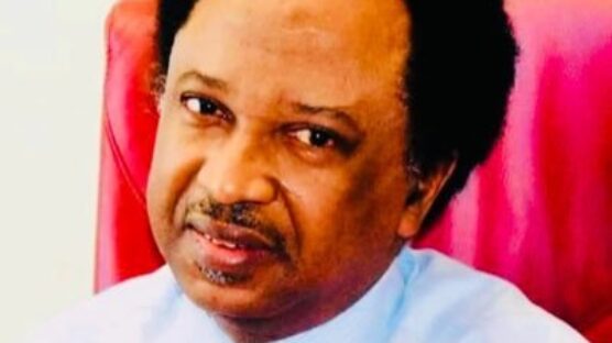 Former member of the Senate from Kaduna Central district, Shehu Sani, believes Northerners and Arewa leaders caused North's underdevelopment