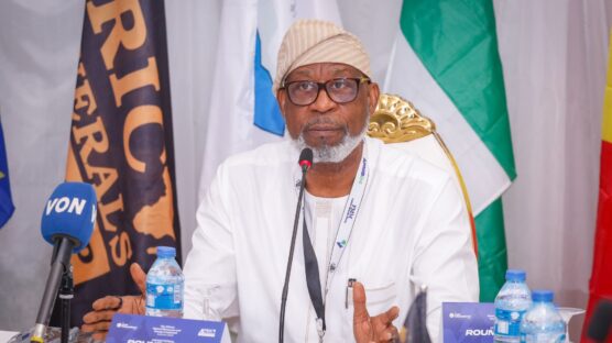 The mining sector in Nigeria is set to undergo a forensic audit, says the Minister of Solid Minerals Development, Dr. Dele Alake