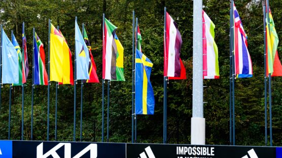 FIFA has flown the Swedish flag at half-mast to mourn the late Sven Göran Eriksson