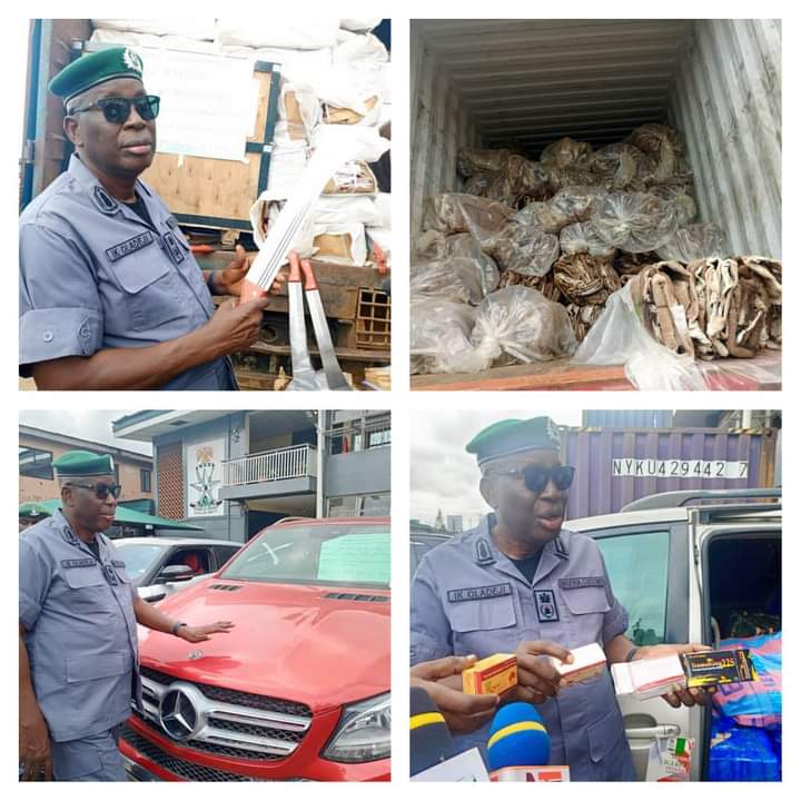 The Customs, Federal Operations Unit (FOU) Zone A, seized a consignment of donkey skins and other prohibited items worth N8 billion in July 2024