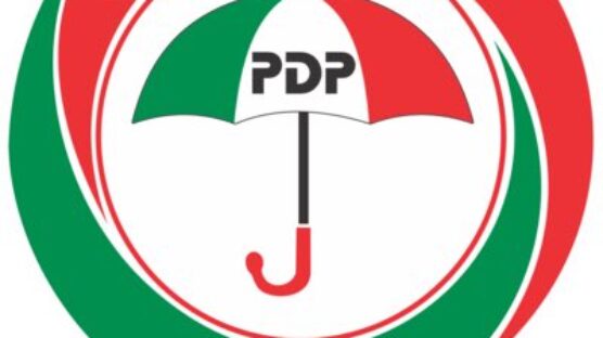 Women members of the PDP have rejected the selection of ex-Commissioner of Information and Orientation, Lois Emmanuel, as the party's Women Leader