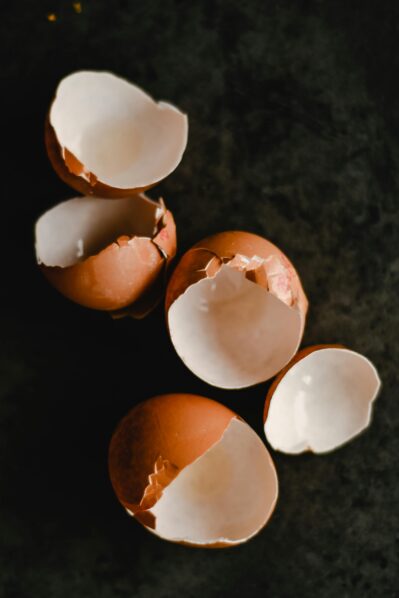 Eggshells