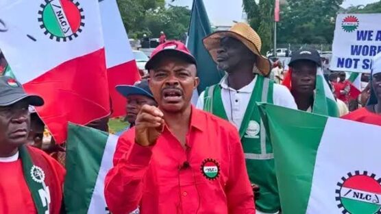 The Trade Union Congress of Nigeria (TUC) has demanded the immediate release of the President of Nigeria Labour Congress (NLC), Joe Ajaero